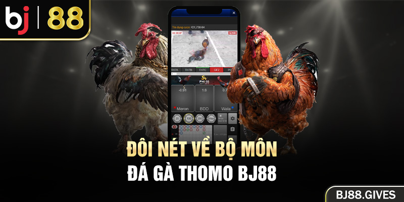 Đôi nét về bộ môn đá gà thomo BJ88