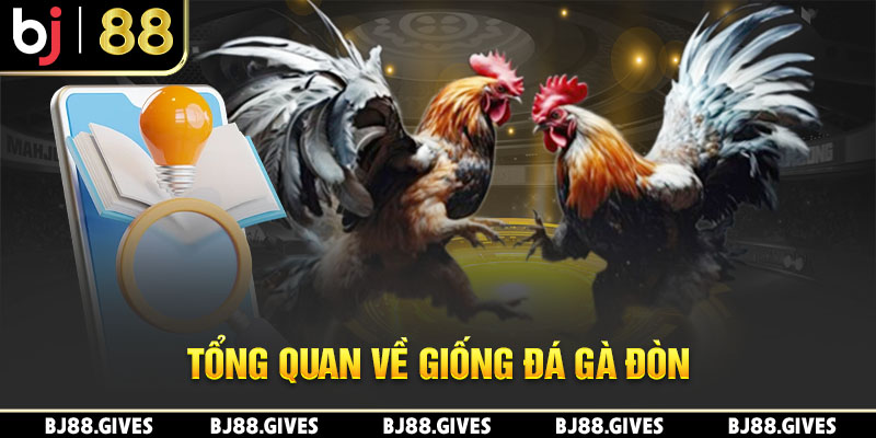 Tổng quan về giống đá gà đòn 