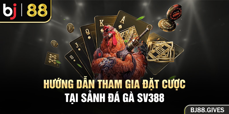 Hướng dẫn tham gia đặt cược tại sảnh đá gà SV388